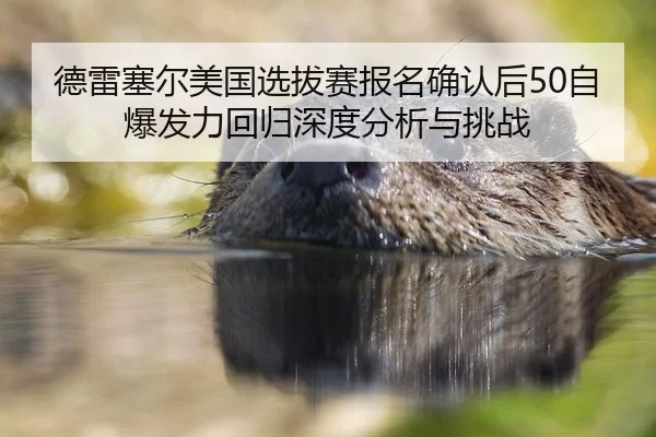 de-lei-sai-er-mei-guo-xuan-ba-sai-bao-ming-que-ren-hou-zi-bao-fa-li-hui-gui-shen-du-fen-xi-yu-tiao-zhan-2-572.jpg